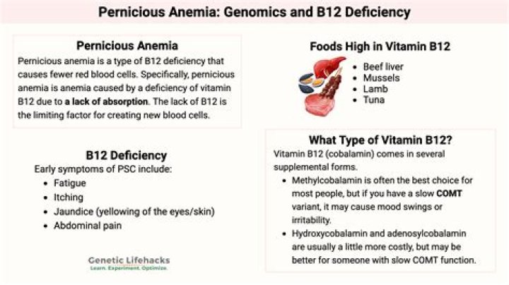 What causes high b12 blood levels