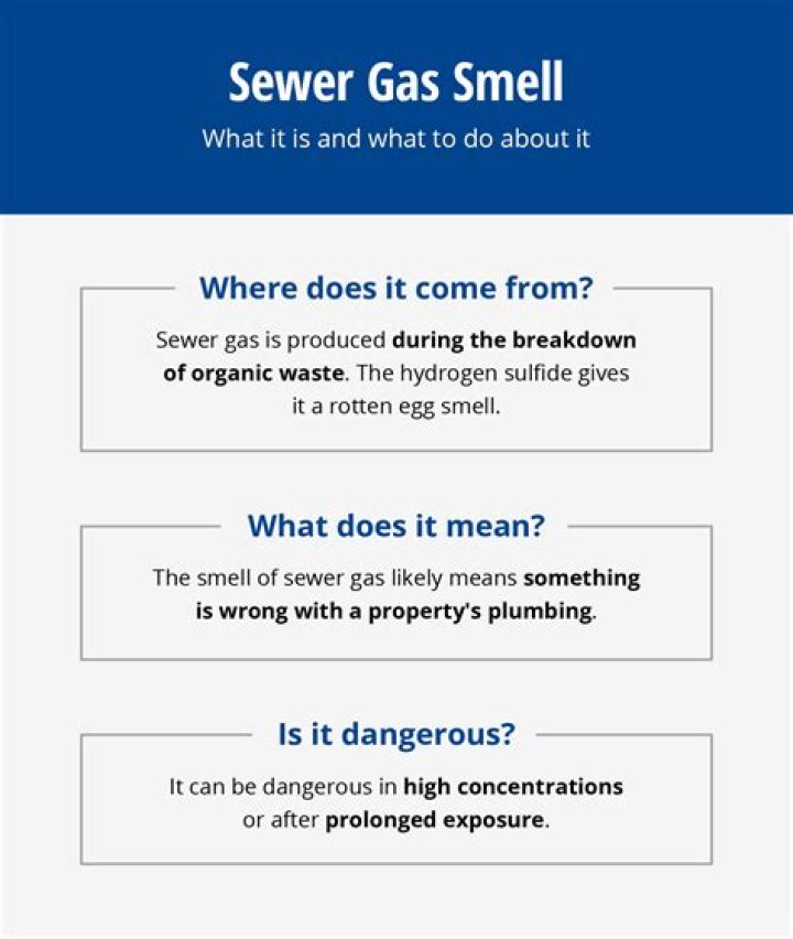 What causes sewer gas smell in my basement