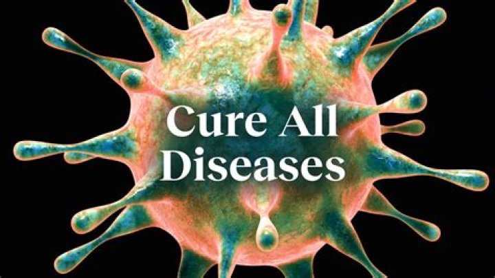 What did Paracelsus think could be used to cure disease