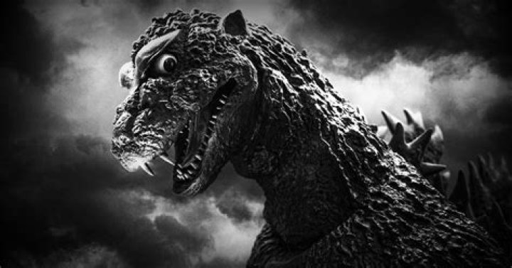 What distortion does Gojira use?