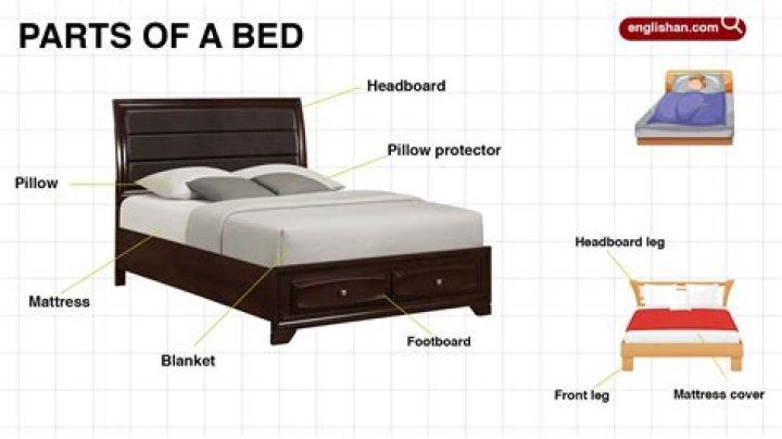 What do you call a bed for a dog?