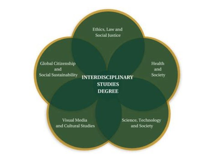 What does a degree in interdisciplinary studies mean?