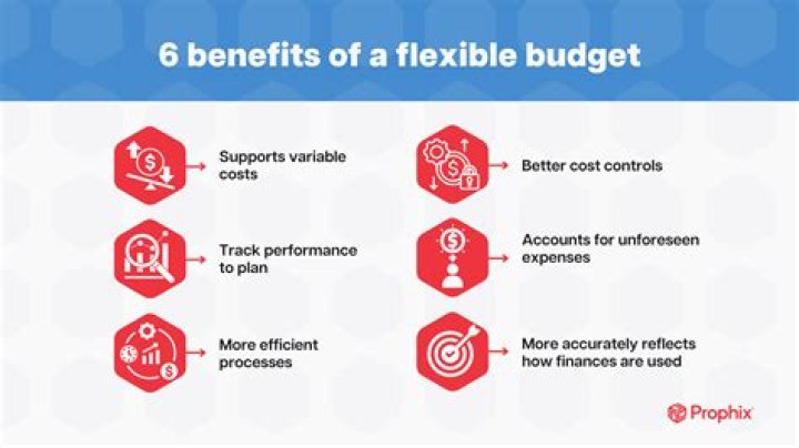 What does a flexible budget performance report do