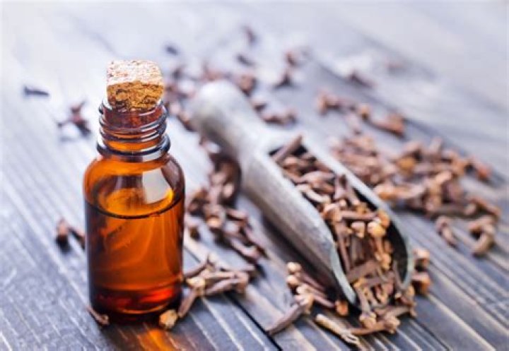 What does clove oil kill