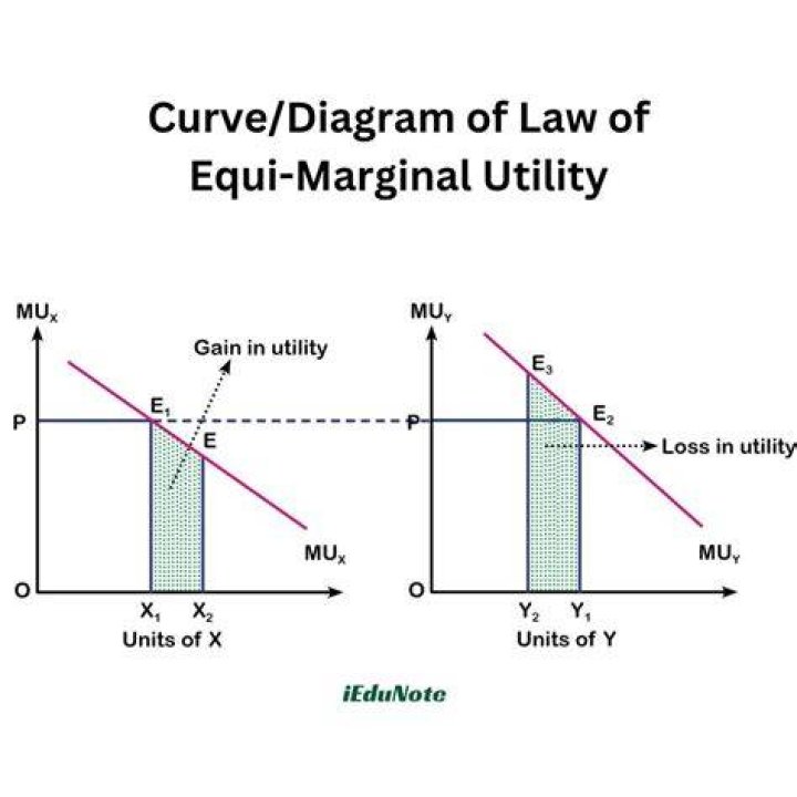 What does equi-marginal utility theory explain?