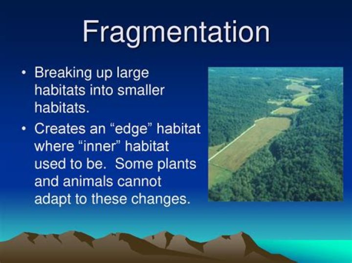 What does fragmentation mean in government?