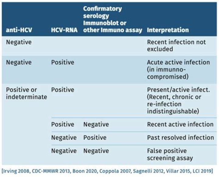 What does it mean if you test positive for hep C antibodies?