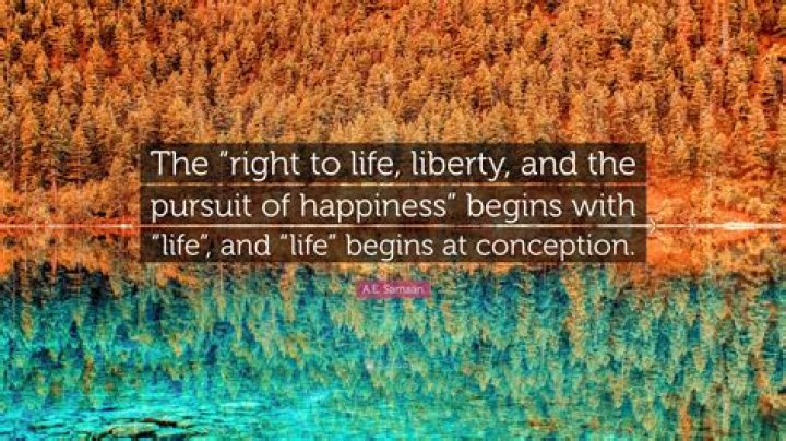 What does it mean to have life liberty and the pursuit of happiness