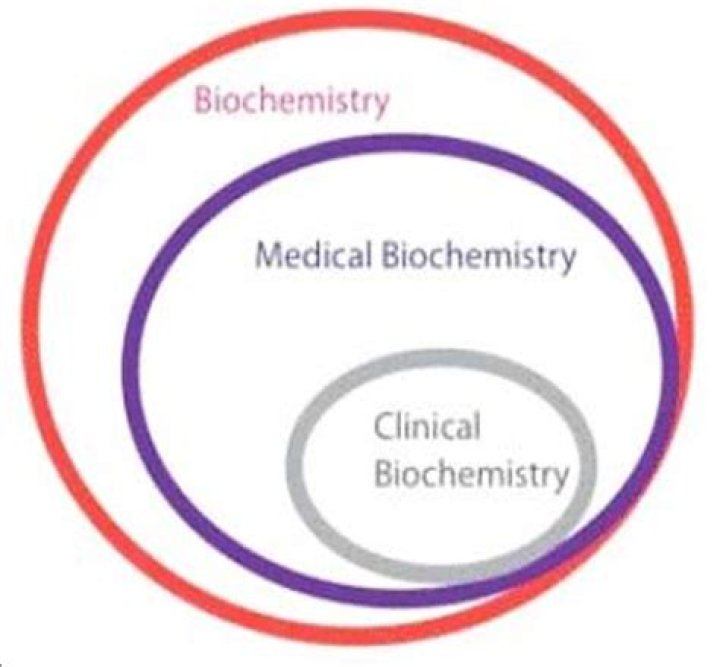 What does medical biochemistry deal with