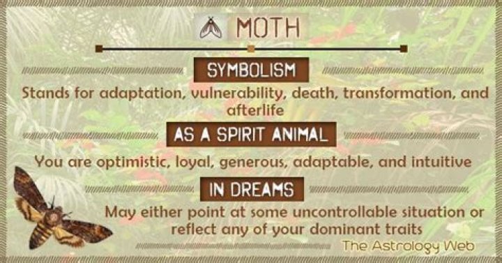 What does moth mean spiritually