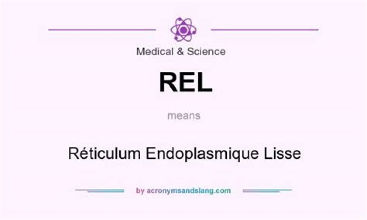 What does REL mean