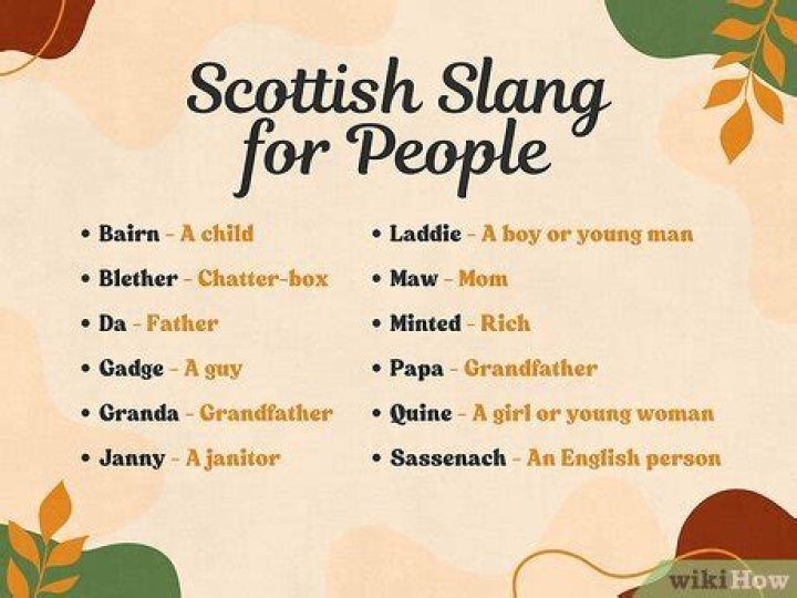 What does the Scots word Sonsie mean?