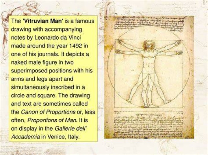 What does the Vitruvian Man text say?