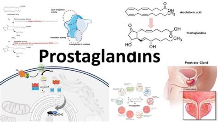 What drugs inhibit prostaglandins?