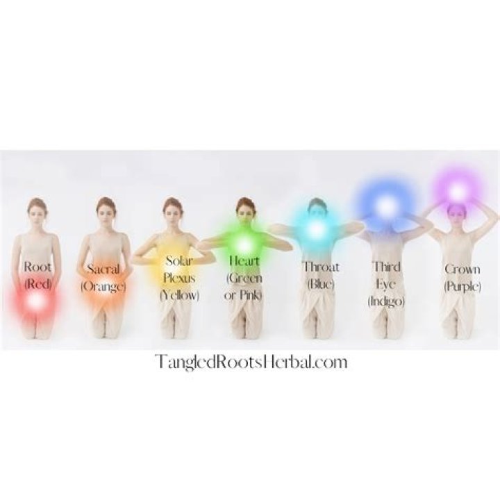 What exactly are chakras
