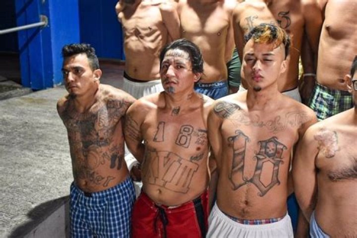 What gang runs El Salvador?