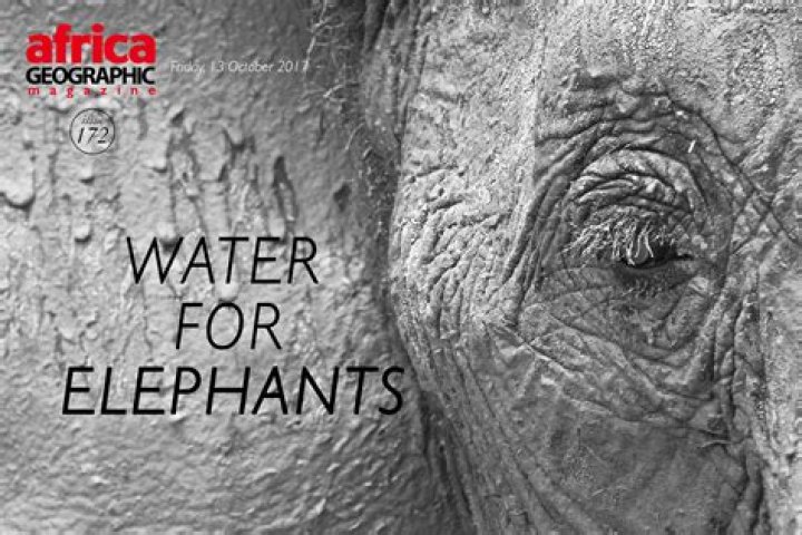 What genre is Water for Elephants