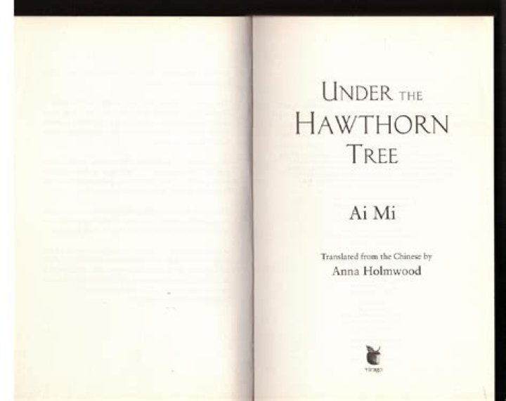 What happened in Under the Hawthorn Tree?