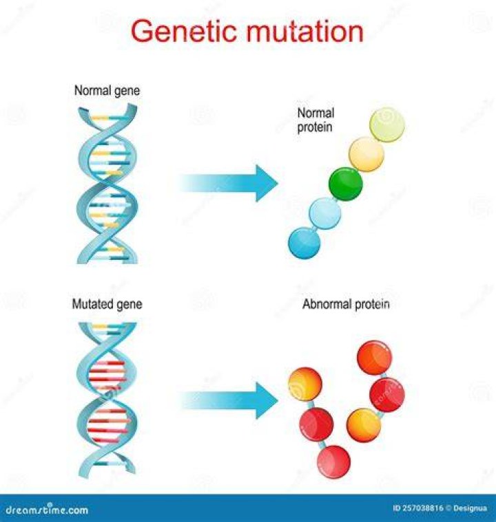What happens if you buy the dog from Gene?