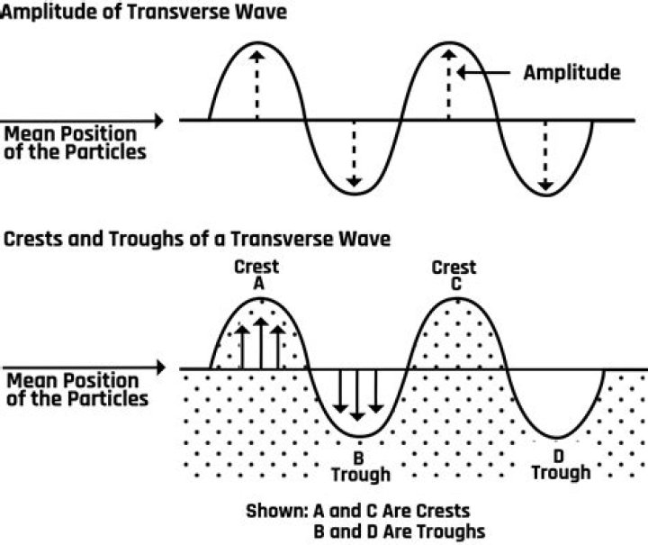What happens to the amplitude of a transverse wave as it travels