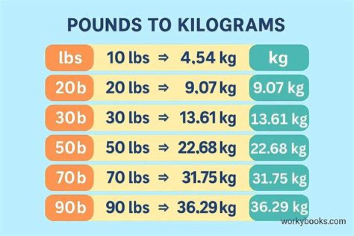 What is 1 kg in pounds or ounces?