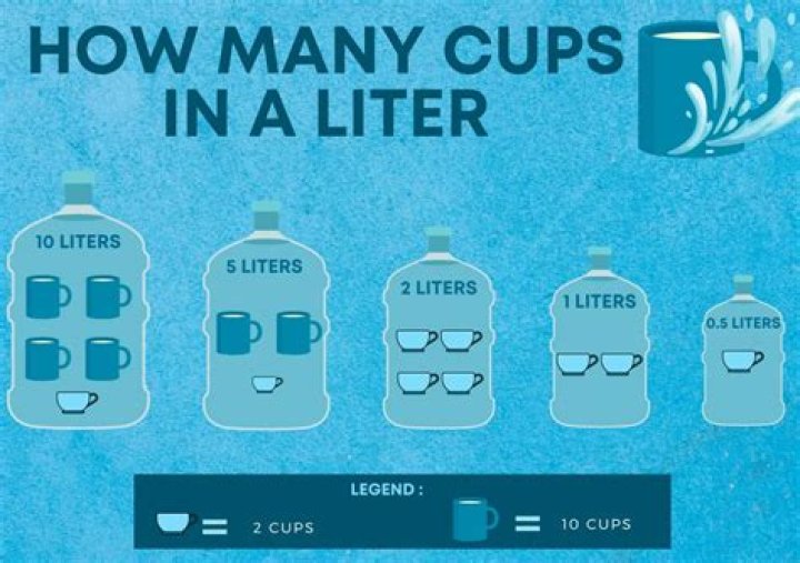 What is 6 liters in cups?