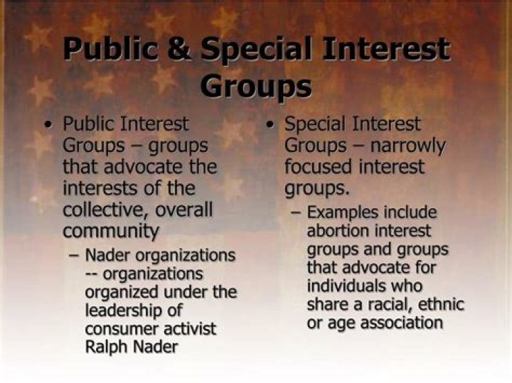 What is a public interest lobby group
