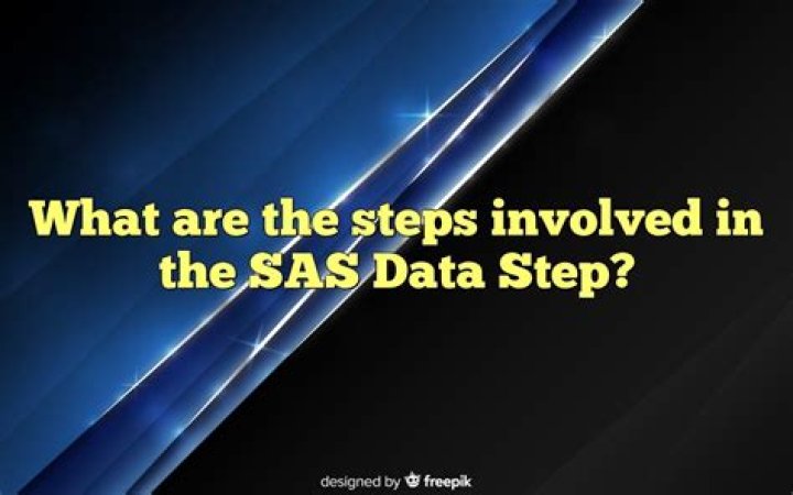 What is a SAS data step