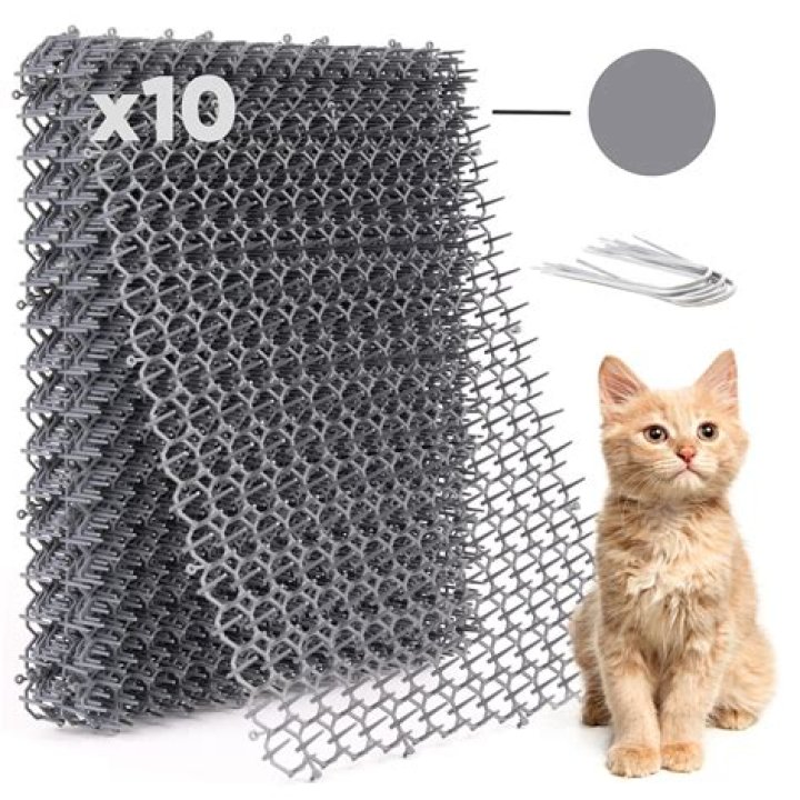 What is a scat mat for cats