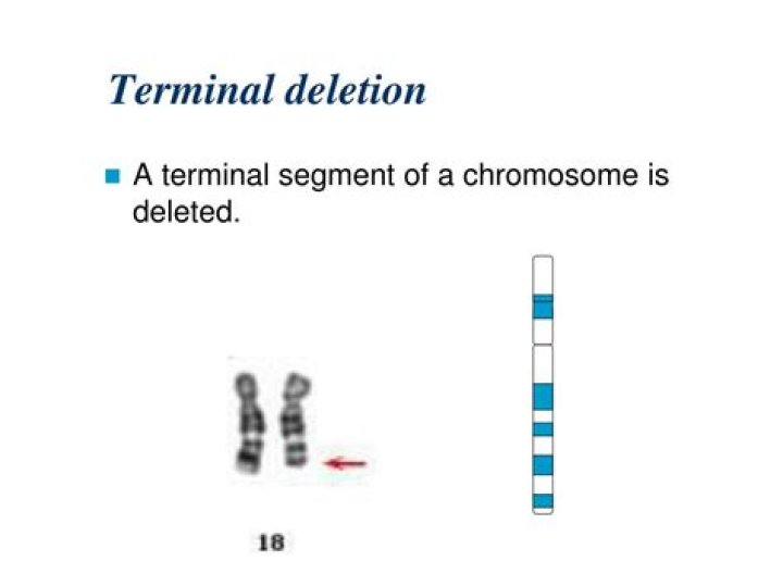 What is a terminal deletion definition