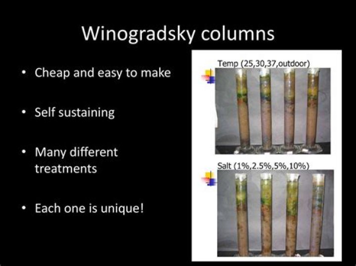 What is a Winogradsky column used for