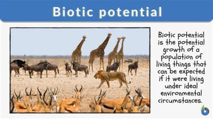 What is an example of biotic potential
