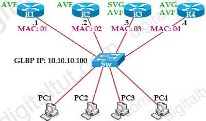 What is AVG and AVF in Glbp