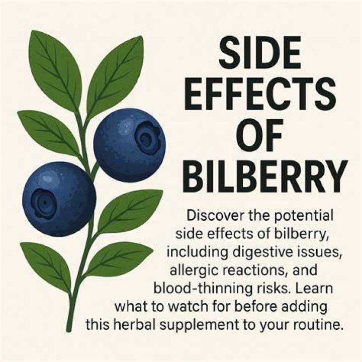 What is bilberry powder good for?