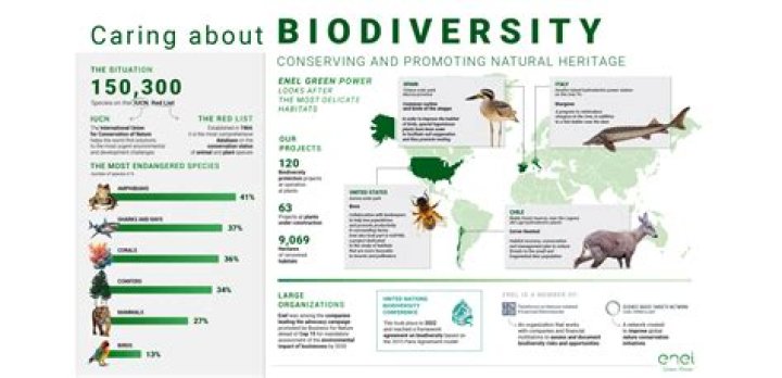 What is biodiversity answers