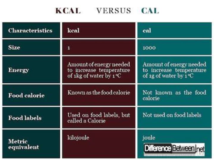 What is difference between kcal and Cal?