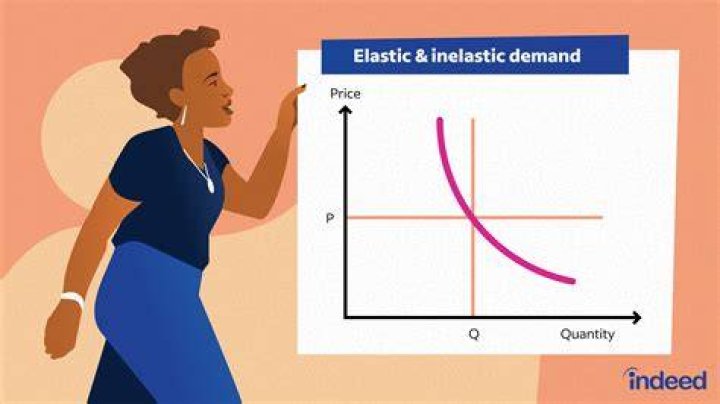 What is fairly inelastic demand