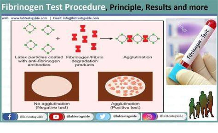 What is functional fibrinogen?