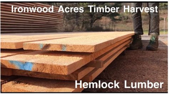 What is hemlock fir lumber