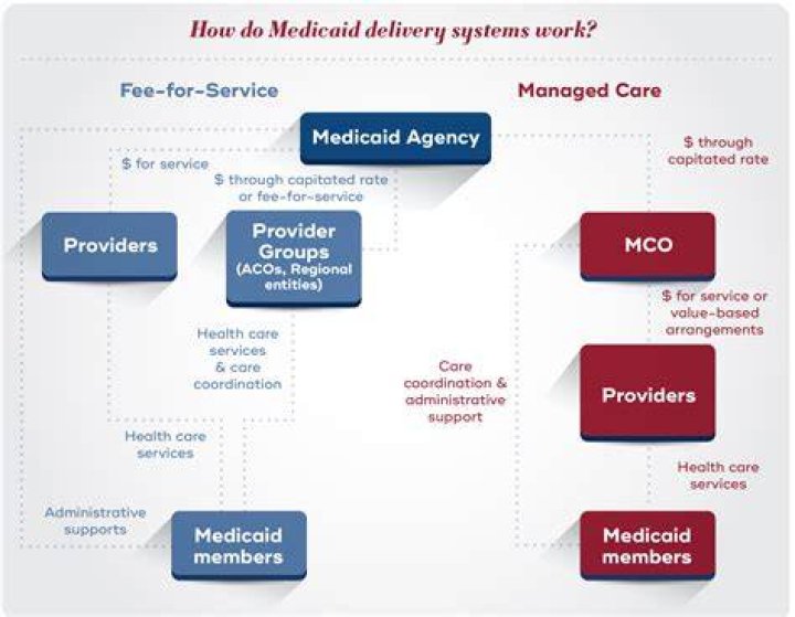What is managed services in healthcare?