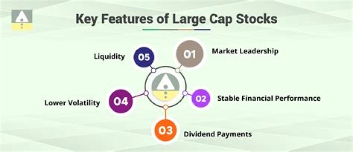 What is meant by large-cap stocks?