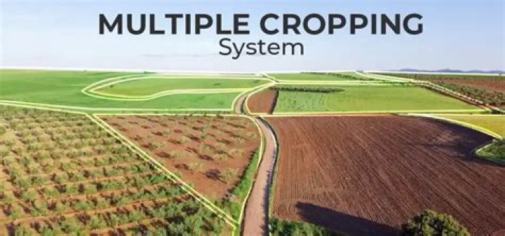What is multiple cropping system