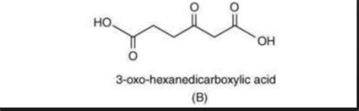 What is oxo acid in chemistry