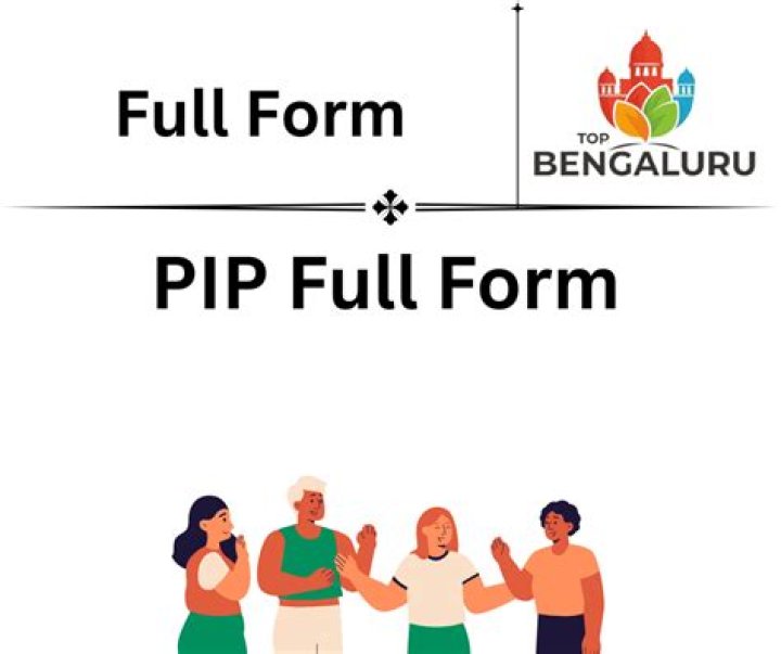 What is PIP full form