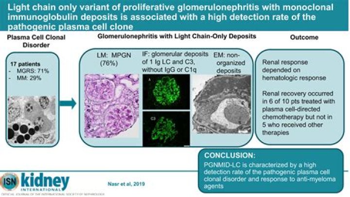 What is proliferative glomerulonephritis with monoclonal IgG deposits?