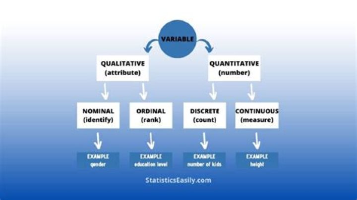 What is qualitative variable