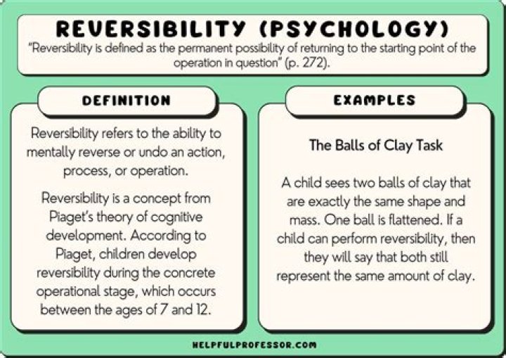 What is reversibility Piaget