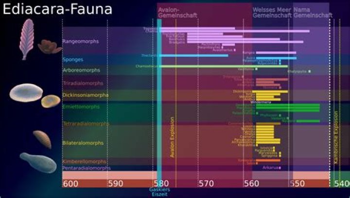 What is significant about the Ediacaran biota
