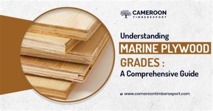 What is special about marine plywood
