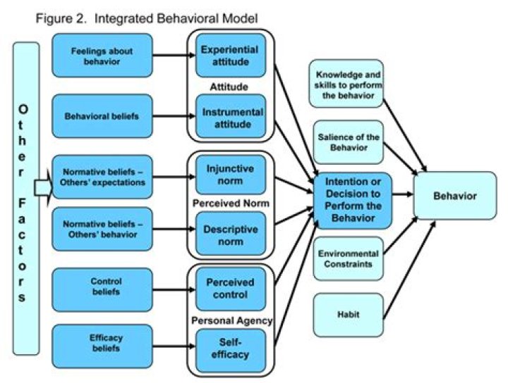 What is the attitude to behavior process model?